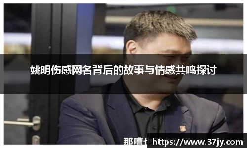 姚明伤感网名背后的故事与情感共鸣探讨
